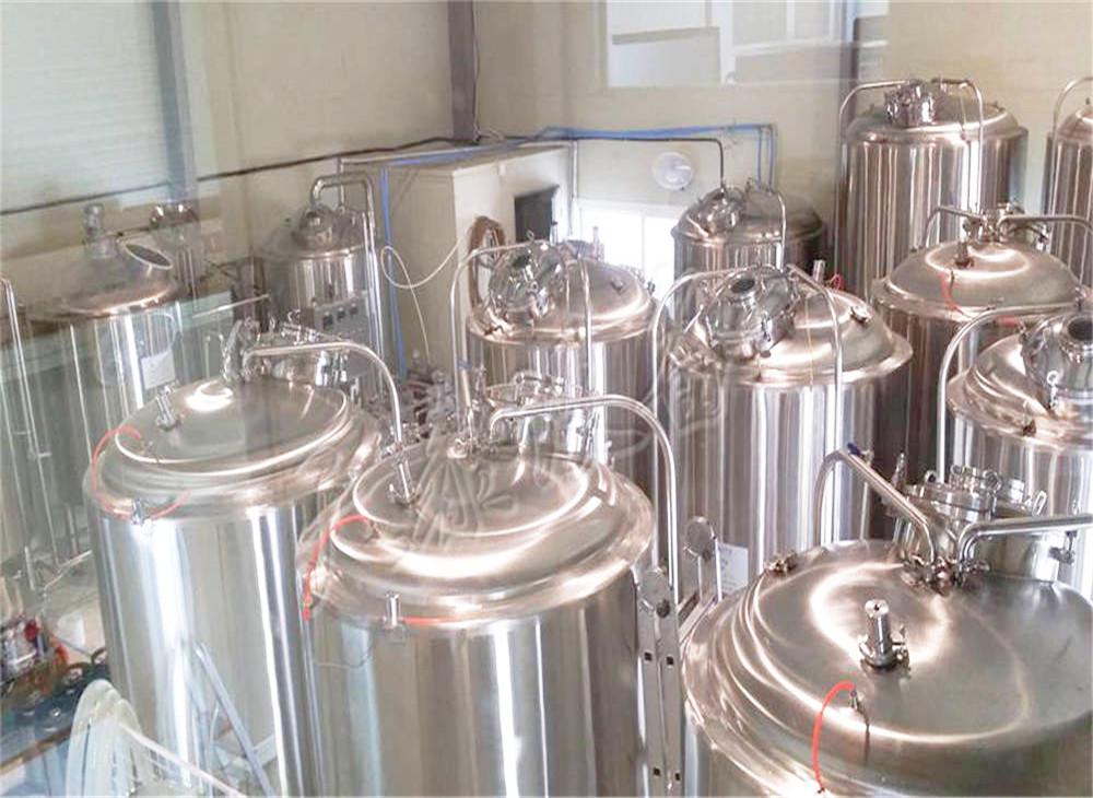 精釀啤酒發(fā)酵過(guò)程中苦味物質(zhì)的變化